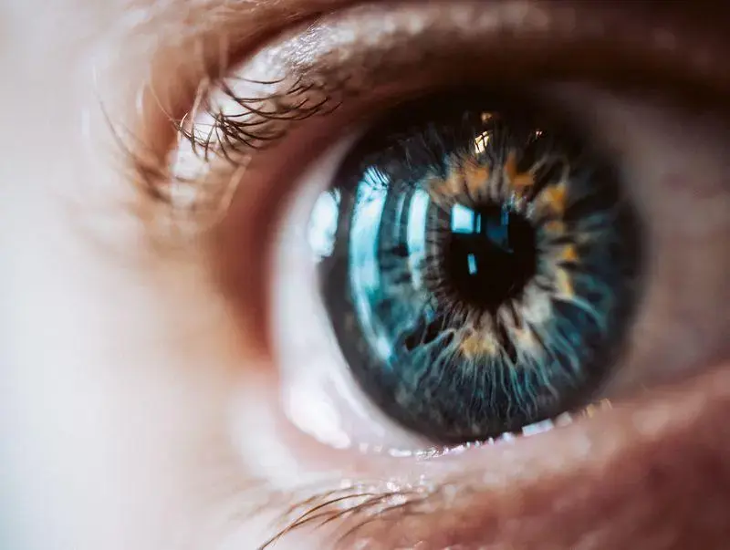 National Eye Bank Corneal Preservation
