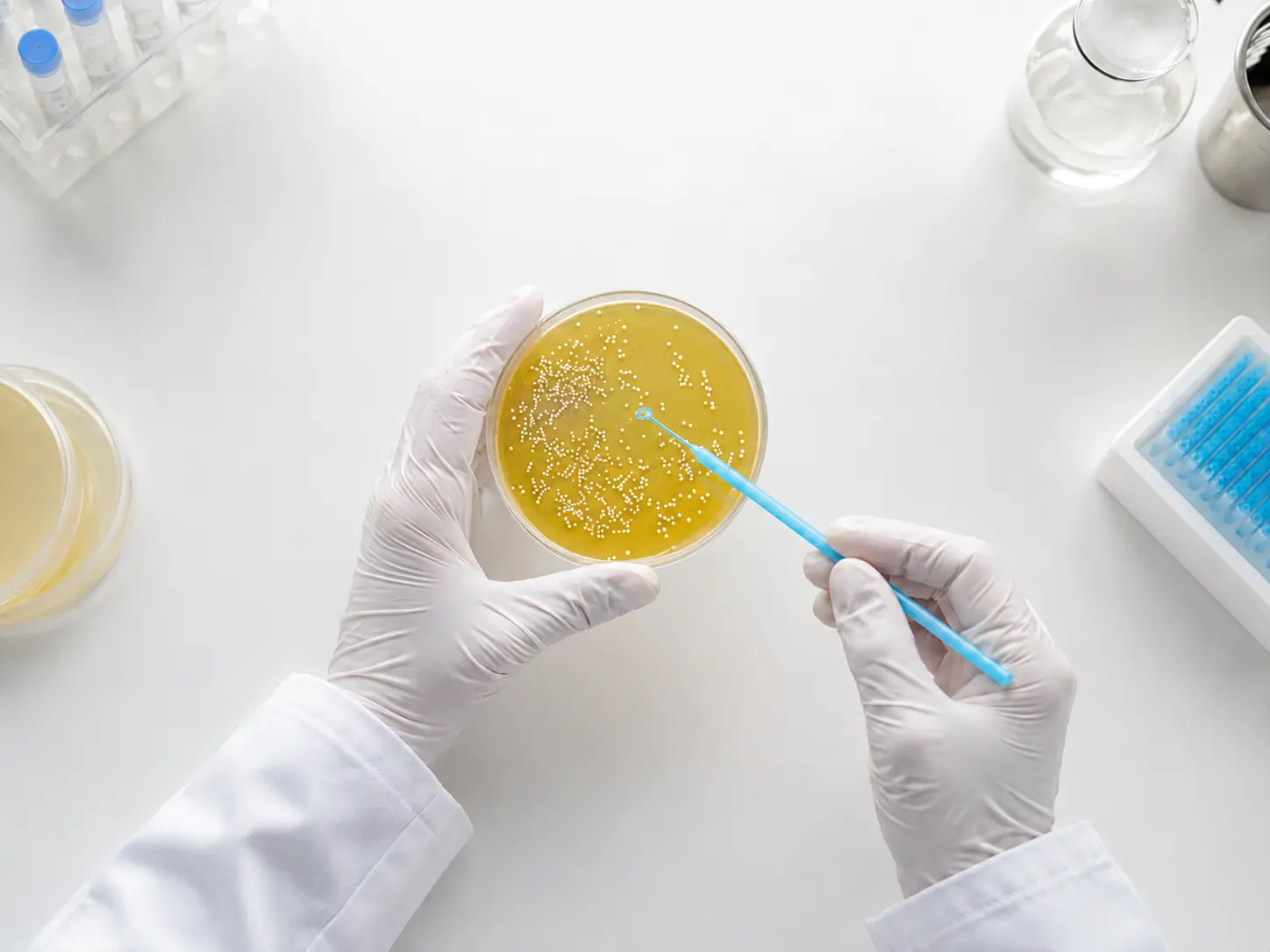 Functional Probiotic GM-080