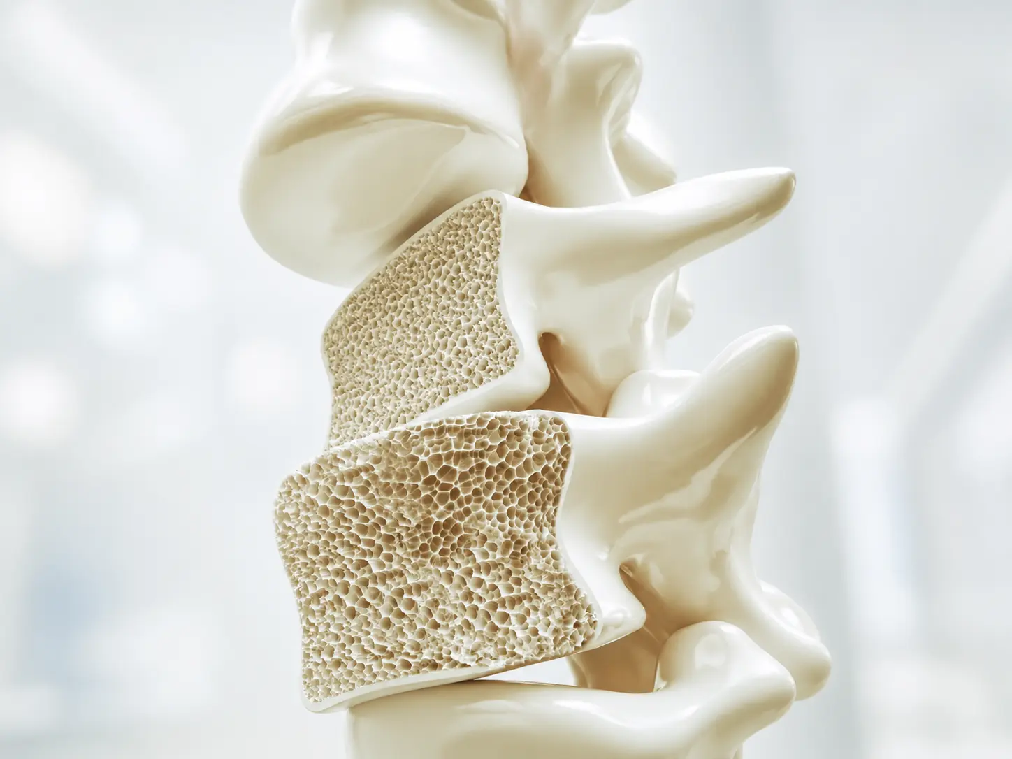 Non-Profit Hospital Bone Bank