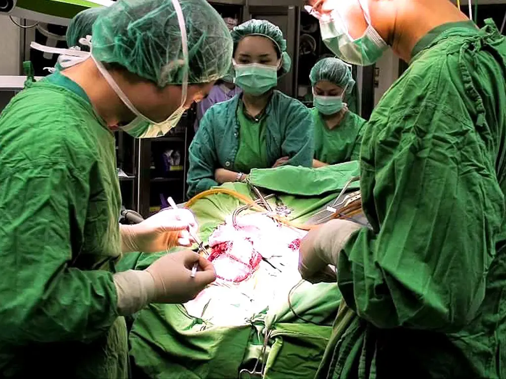 Surgery of Drug-Resistant Epilepsy