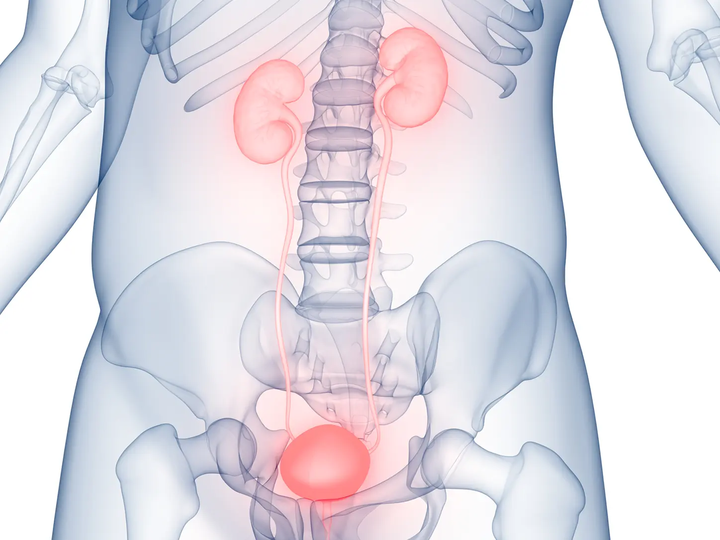 Application of Botox in Urinary Tract