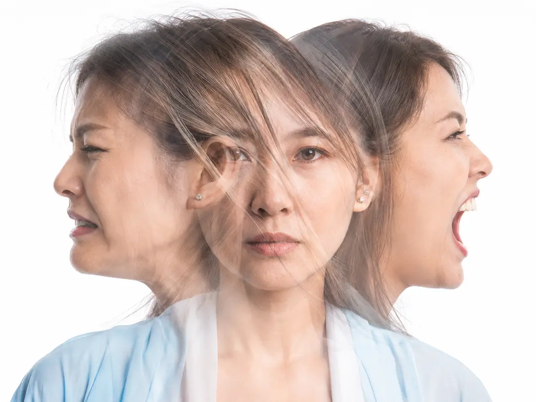 Holistic care for chronic mental illness