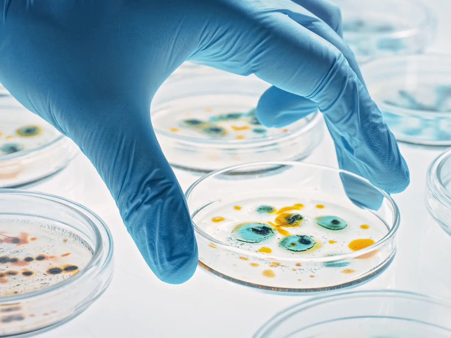The World's leading virus Center