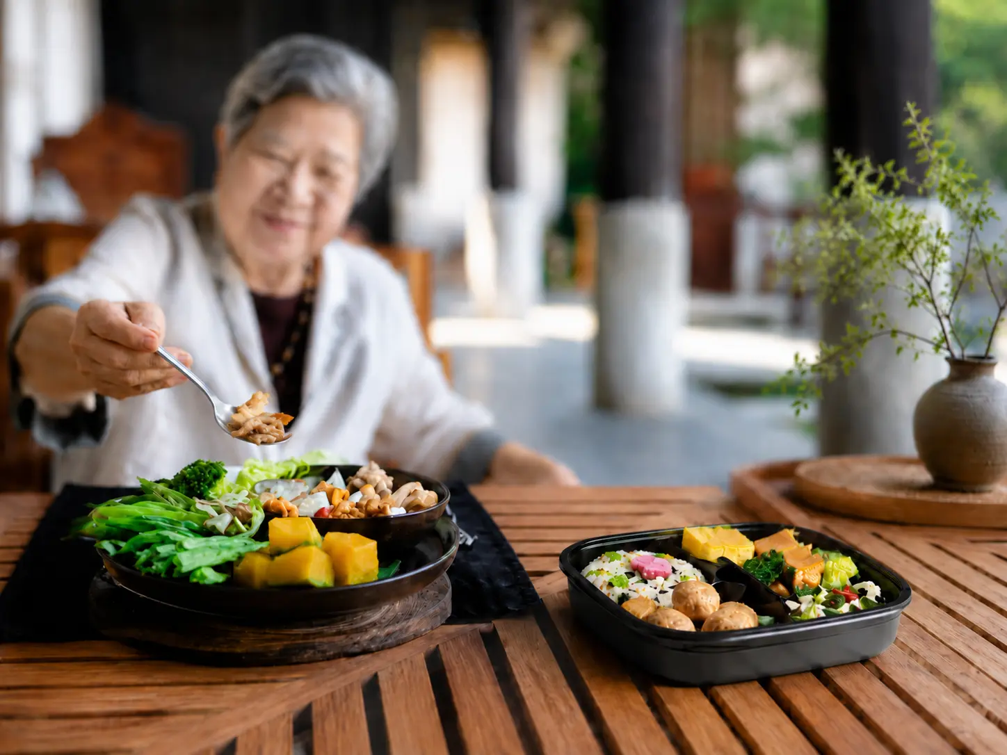 Zaogod Senior Meal Delivery Service