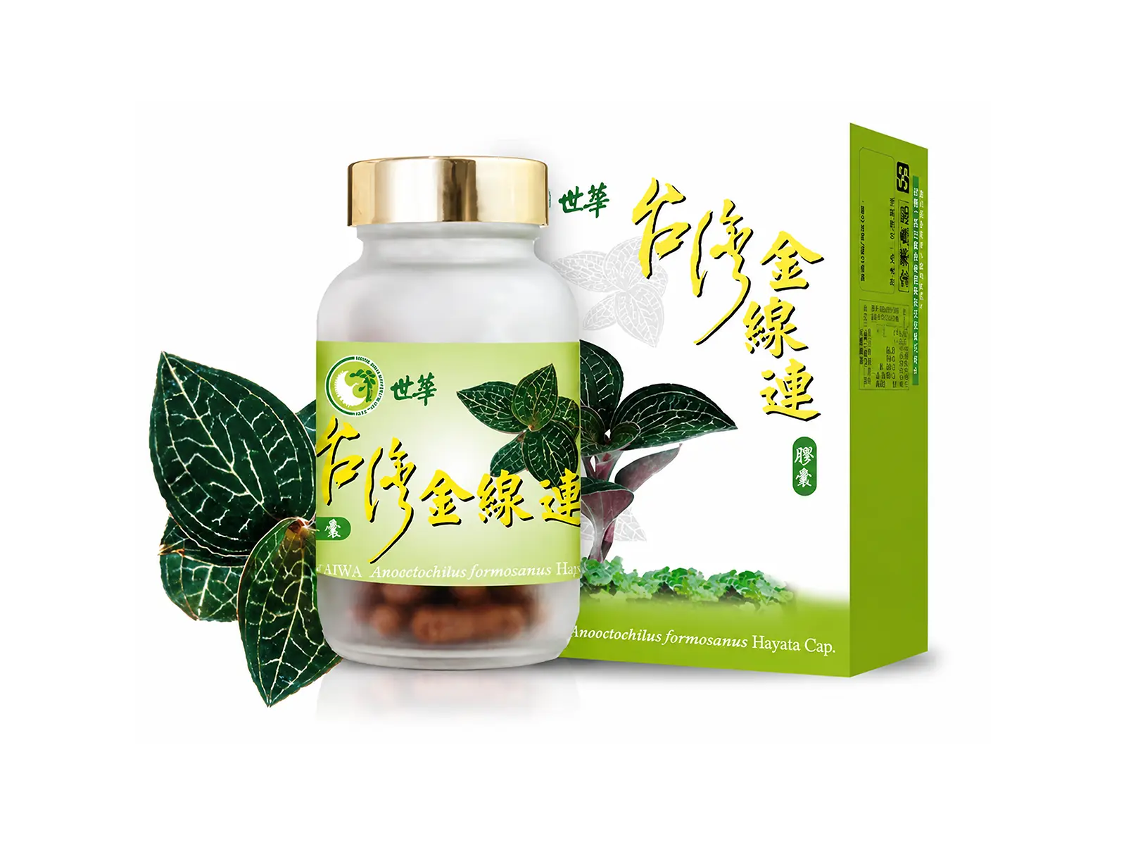世華台灣金線連膠囊