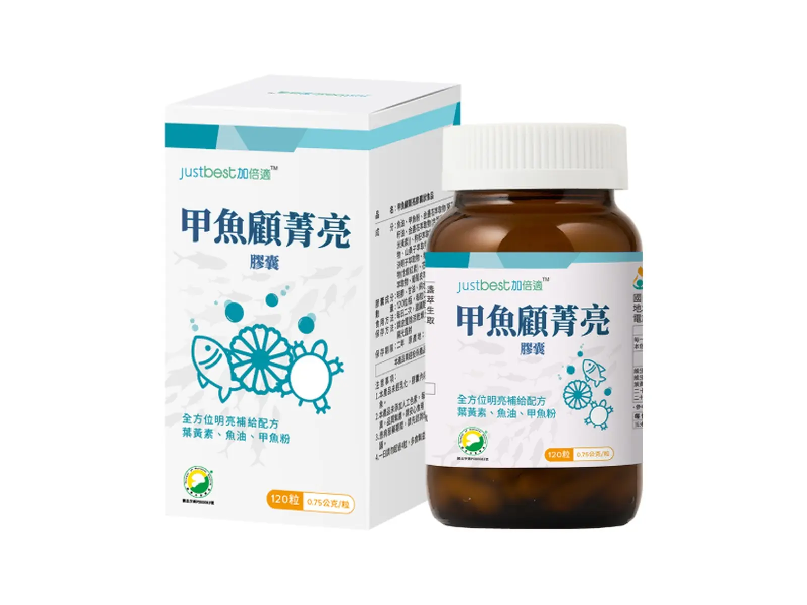 甲魚顧菁亮