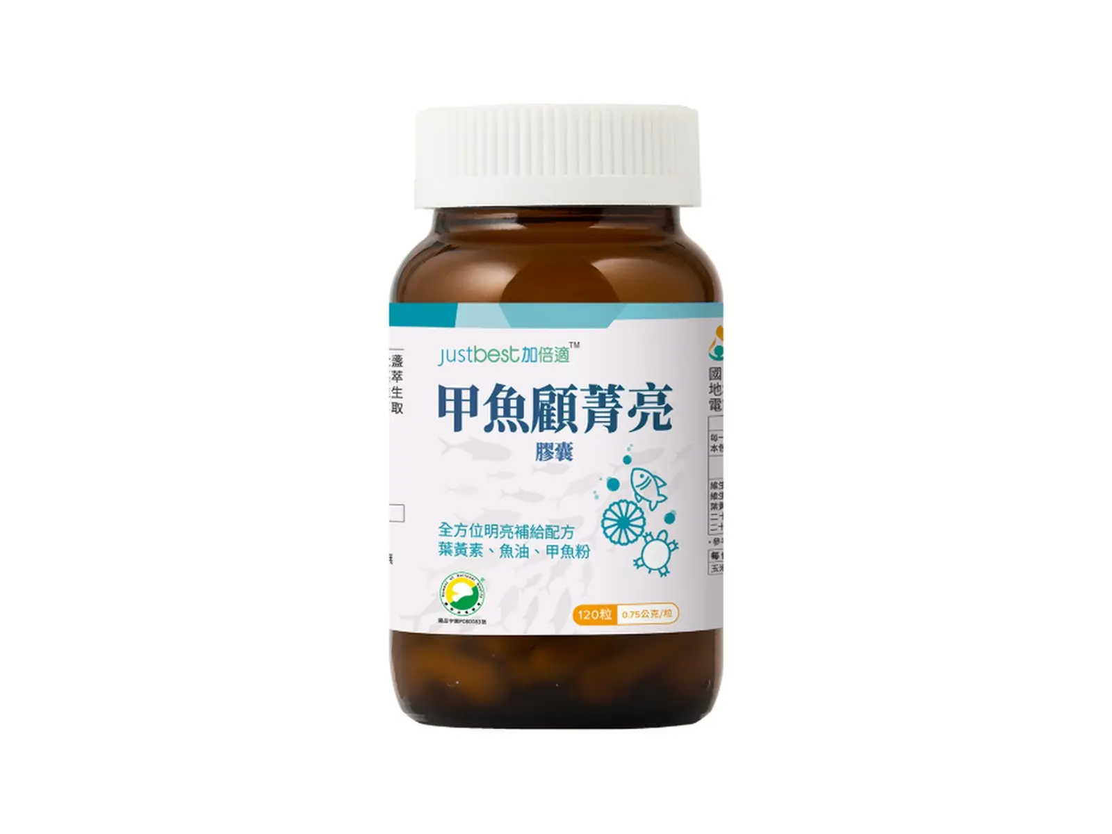 甲魚顧菁亮