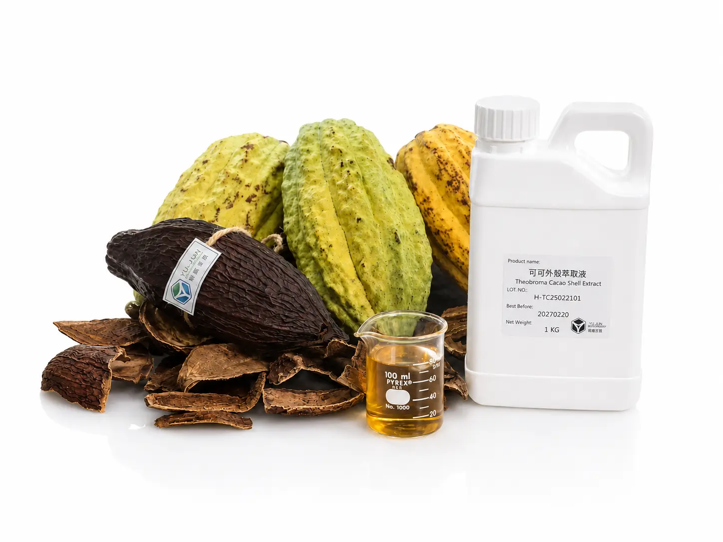 Theobroma Cacao Shell Extract