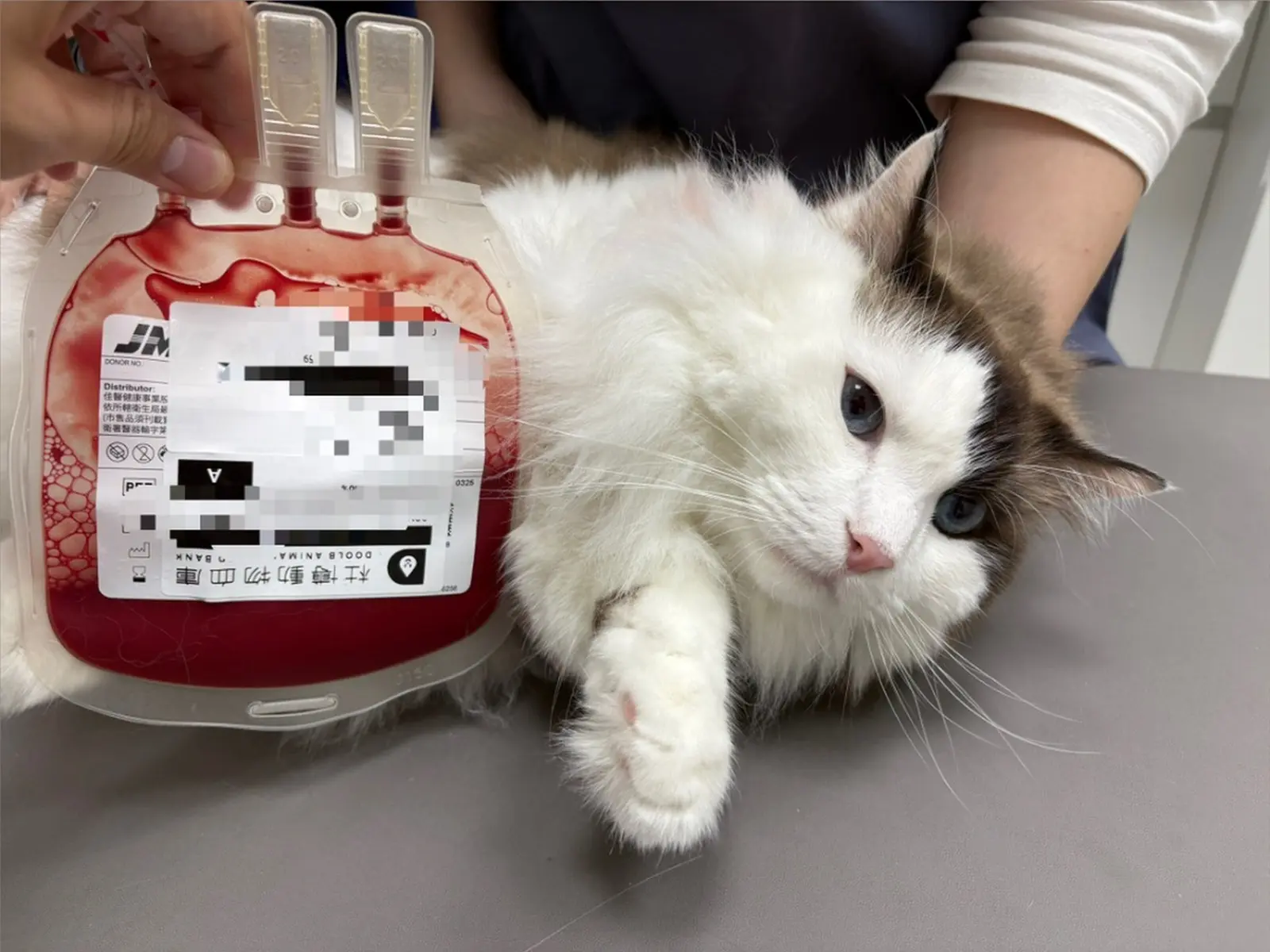 安心便利動物輸血解決方案