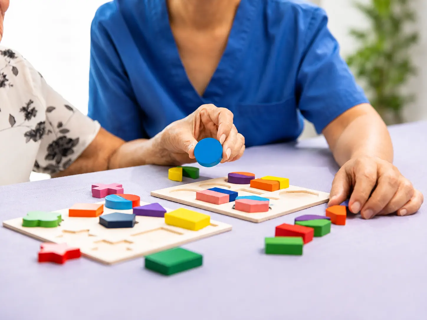 Holistic One-Stop Dementia Care