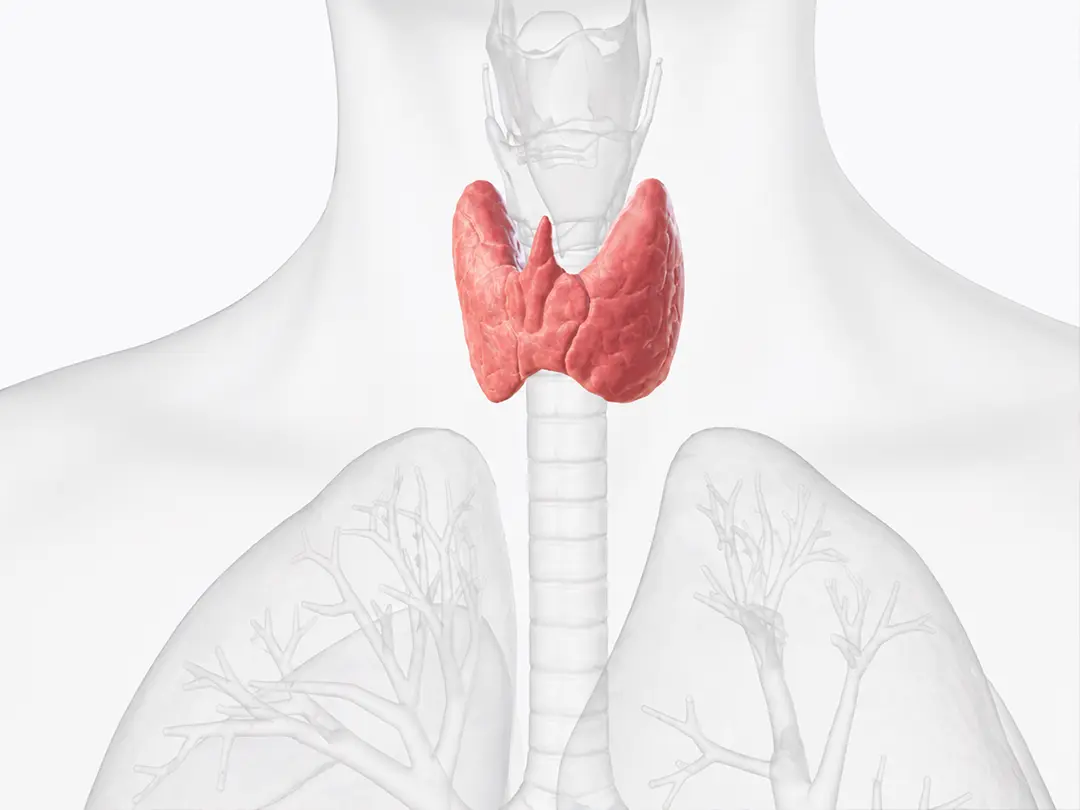 Management of Secondary Hyperparathyroidism