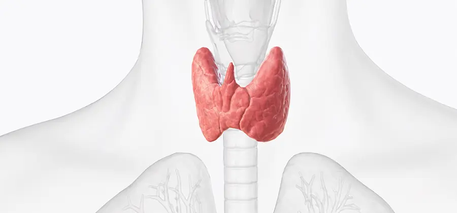 續發性副甲狀腺亢進管控