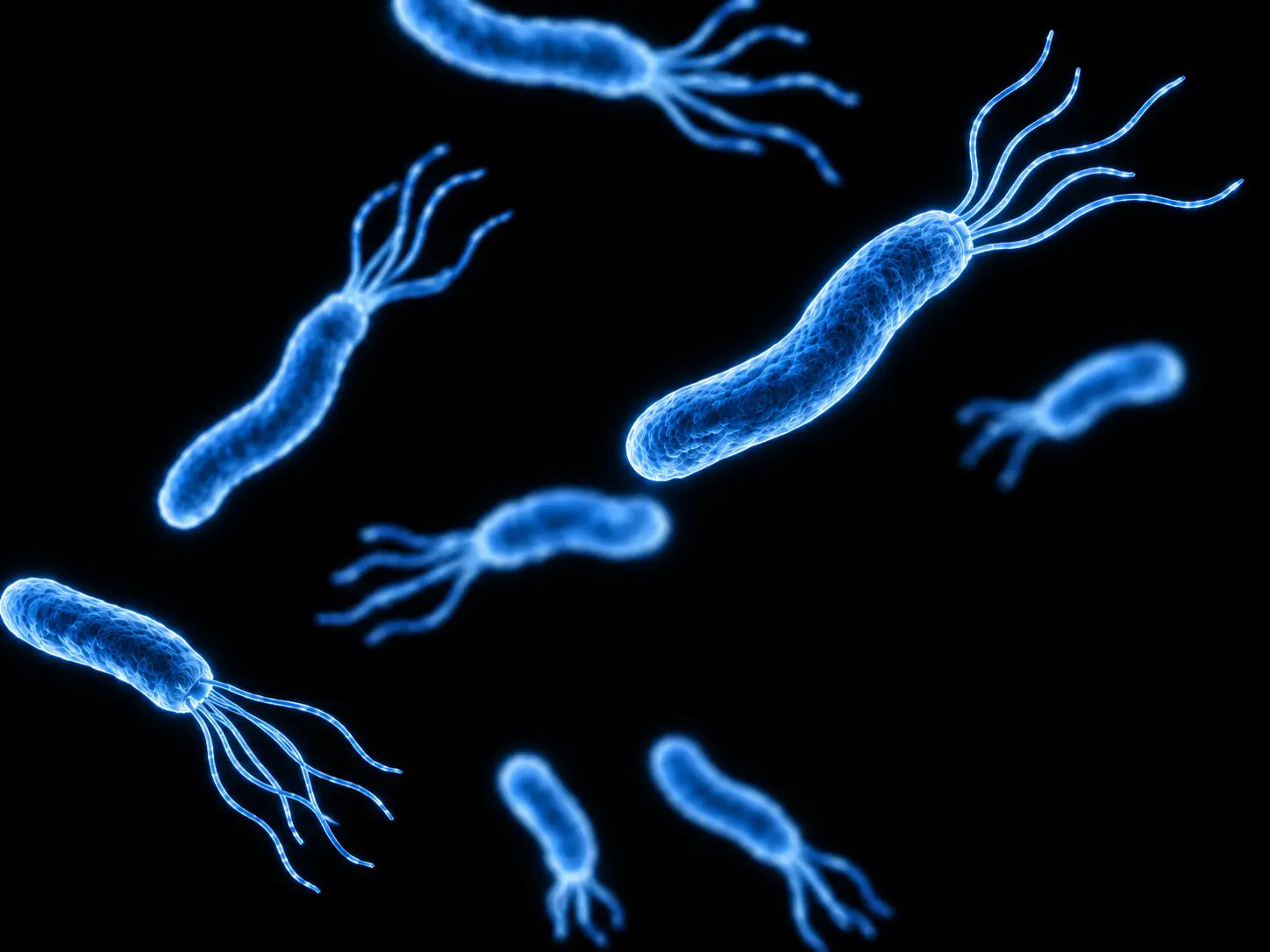 Intraluminal therapy for H. Pylori