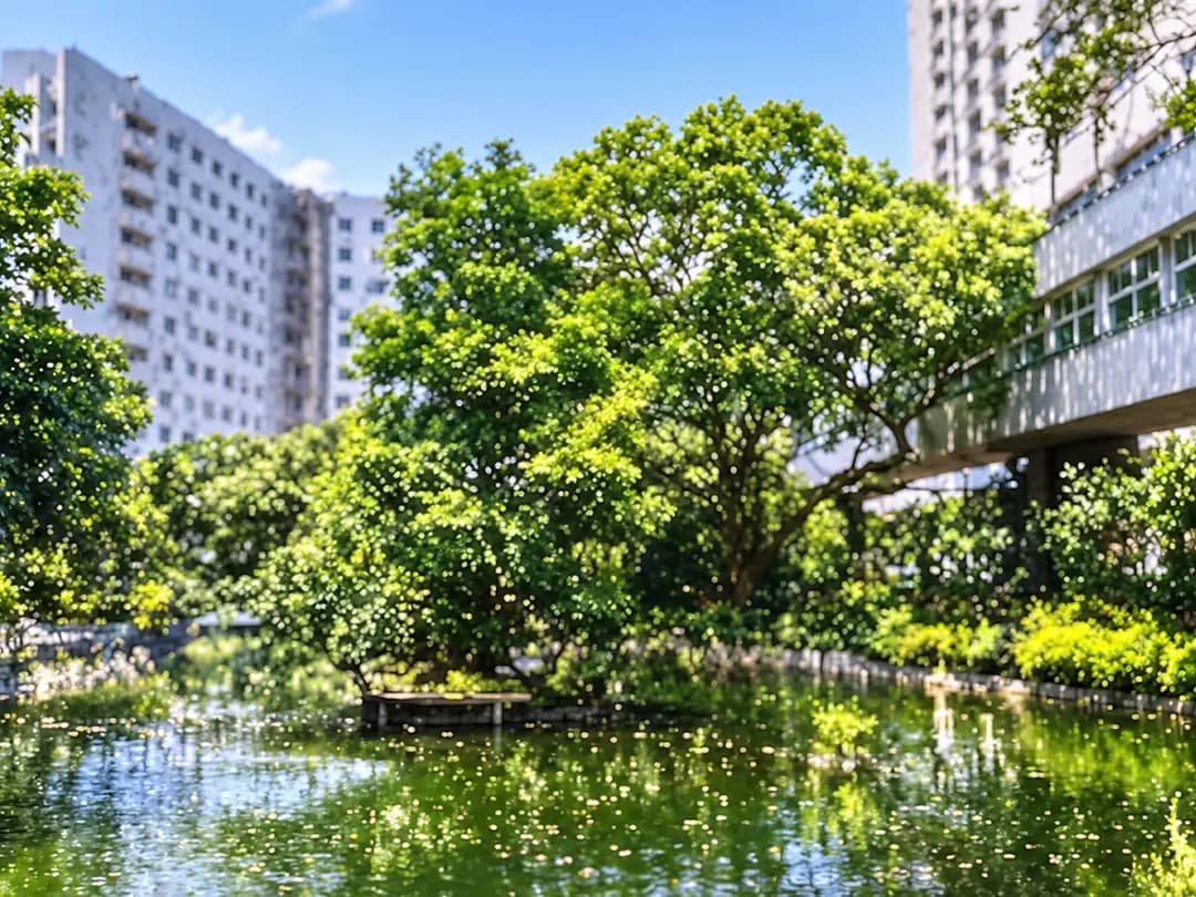 Eco-Friendly Sustainable Hospital