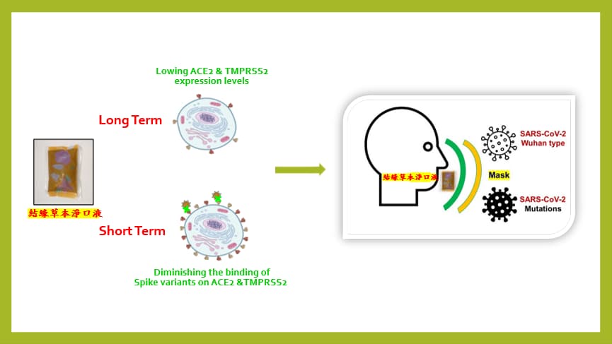 Herbal Oral Rinse for Viral Prevention