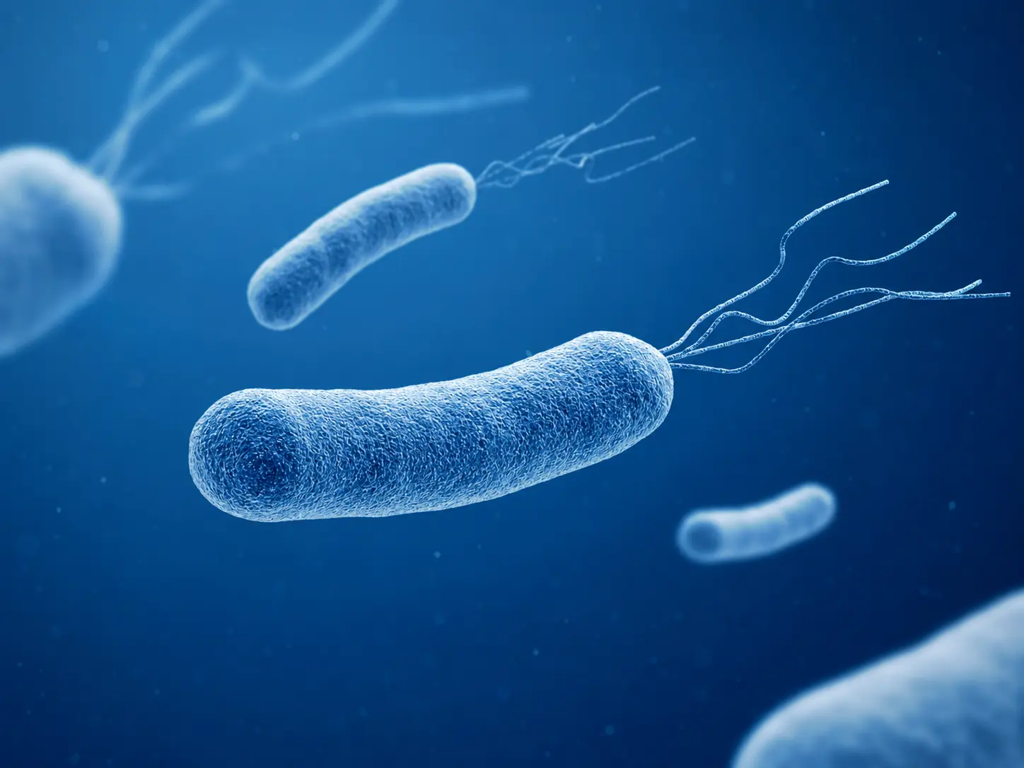 Helicobacter Pylori Eradication Therapy