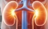 Environmental Toxin Removal in CKD