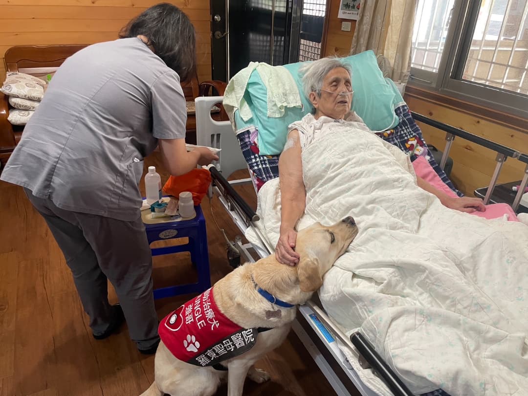 末期病人一站式安寧照護