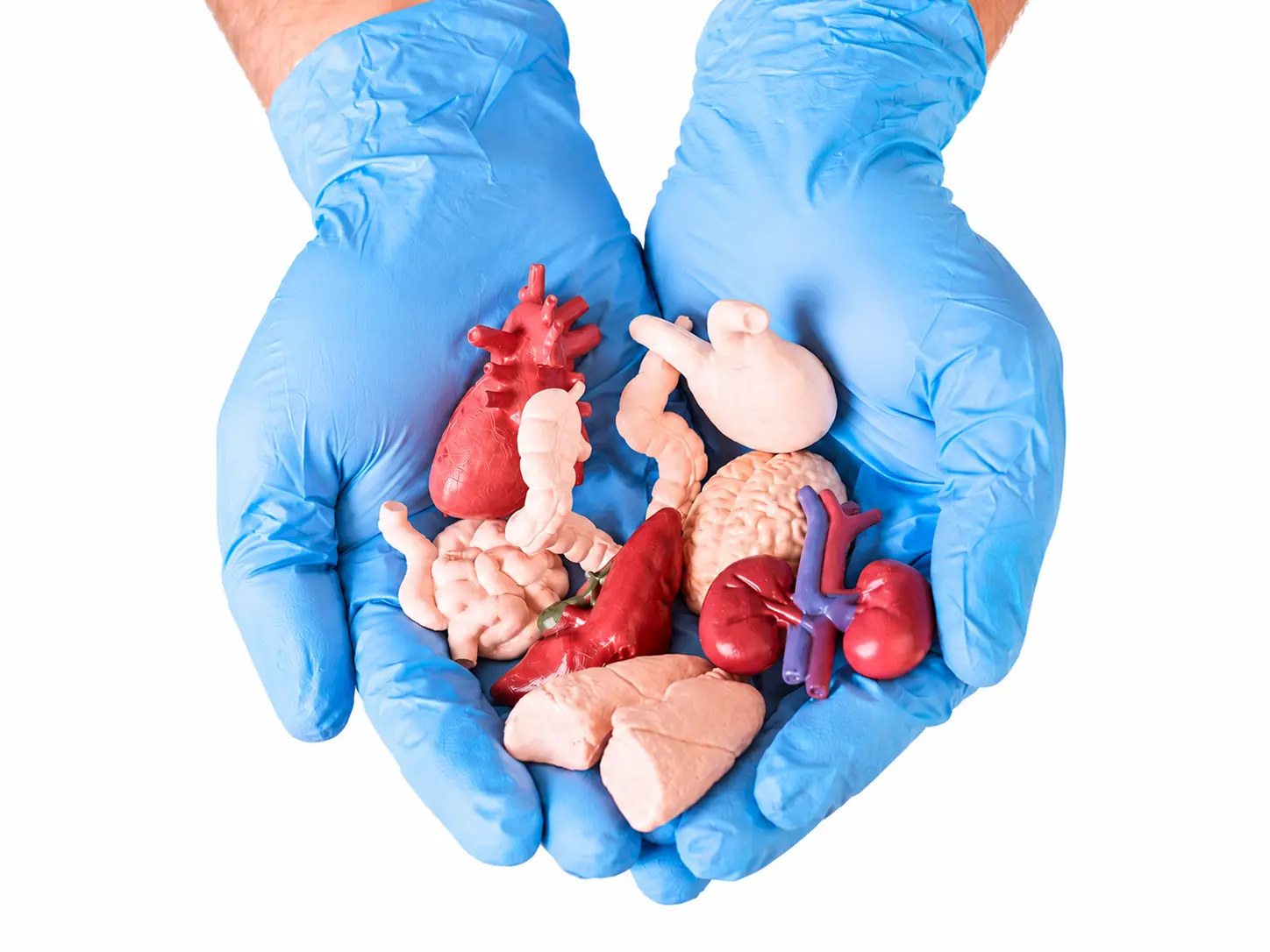 Organ Donation Coordination Care