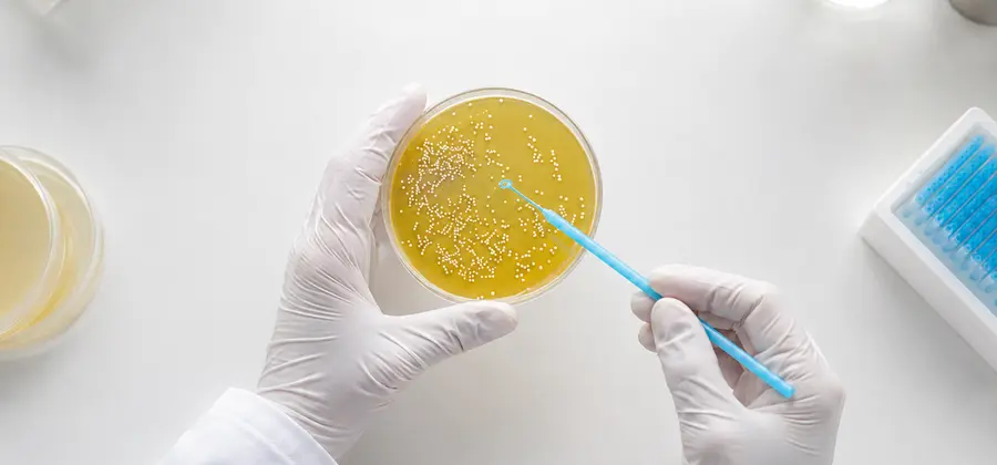 Functional Probiotic GM-080