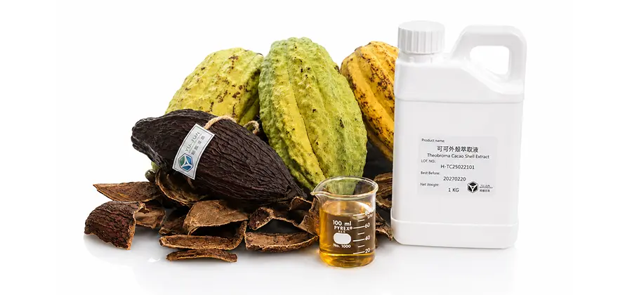 Theobroma Cacao Shell Extract