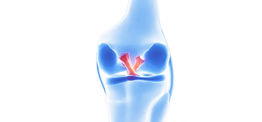 ACL / Minimally Invasive Reconstruction