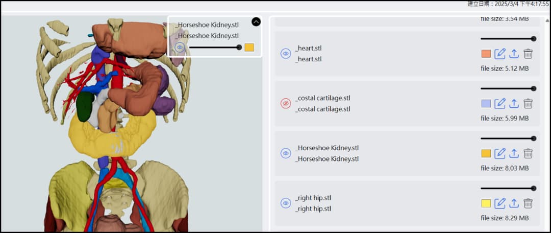 AI 三維互動式解剖教學