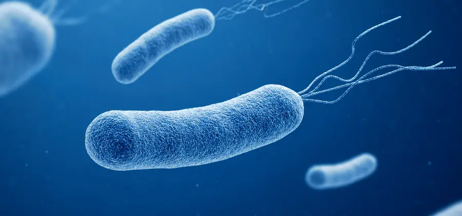 Helicobacter Pylori Eradication Therapy