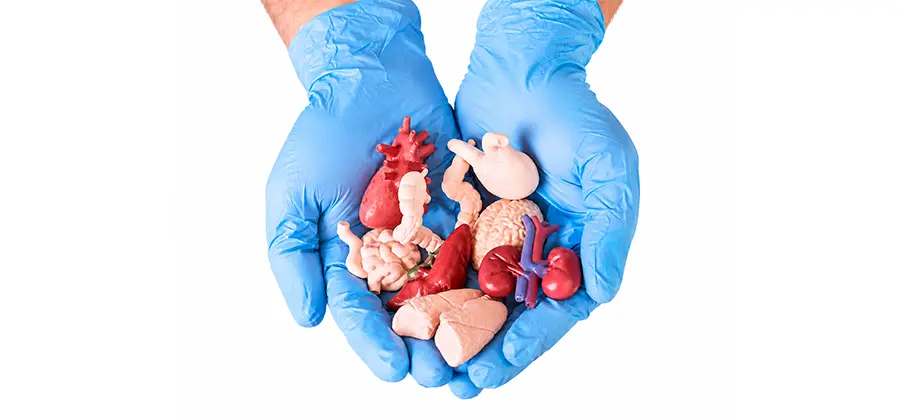 Organ Donation Coordination Care
