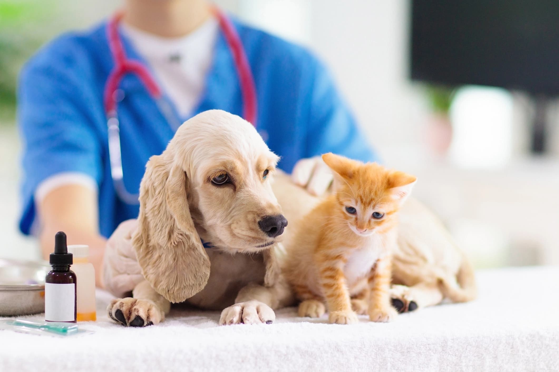 Animal Care & Products