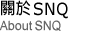 關於SNQ