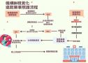 個人化智能藥事戰情室，BI 攜手AI跨界守護長照機構用藥安全