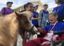 長照園區引進迷你馬，啟動動物輔療，帶來新生命意義