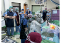 登峰造脊獨步全球-機械手臂微創腹式手術治療嚴重脊椎變形