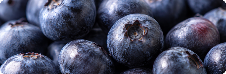 Mirtoselect® Bilberry Extract
