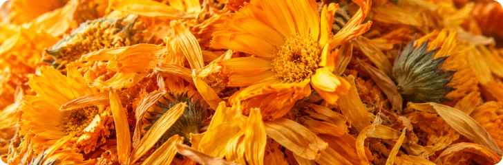 FloraGLO® Lutein
